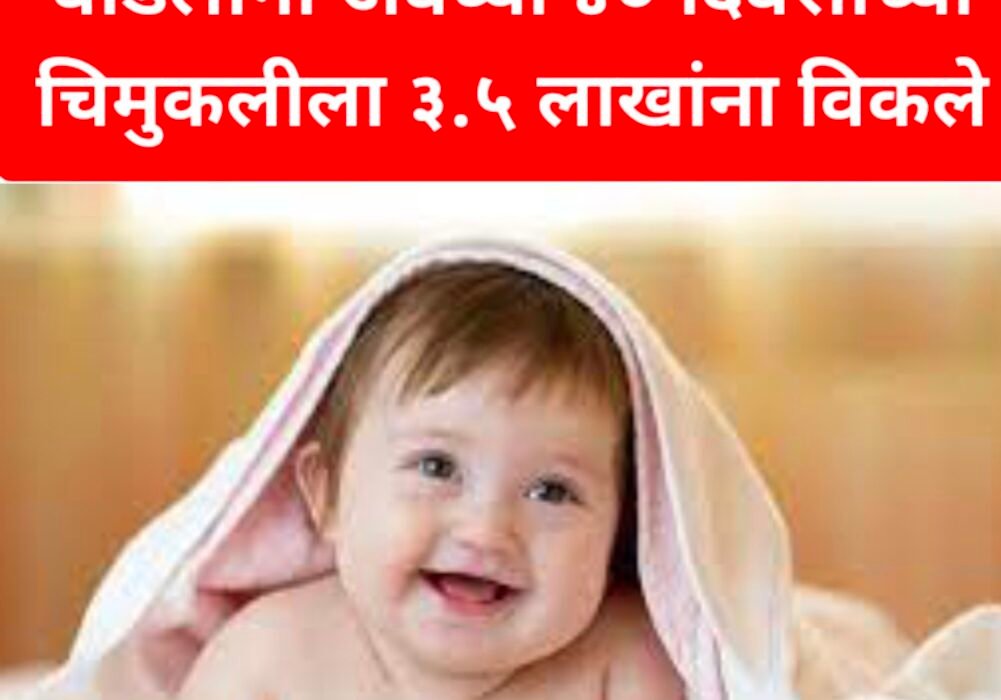 Swarajyatimesmews